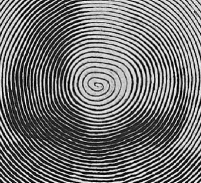 Mellan-detail-spirale